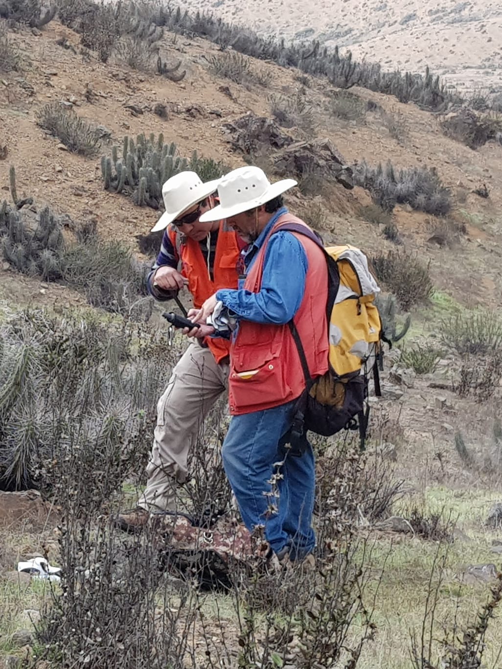 Equipo ATDGO revisando datos en terreno